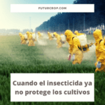 resistencia a los insecticidas