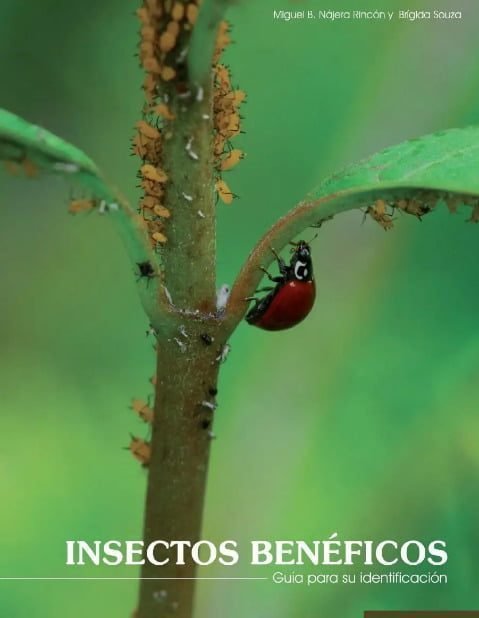 manual insectos beneficos